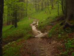 2013-06-01_Regina-F-Rau_Staffelalm_Hochwasser (125).JPG